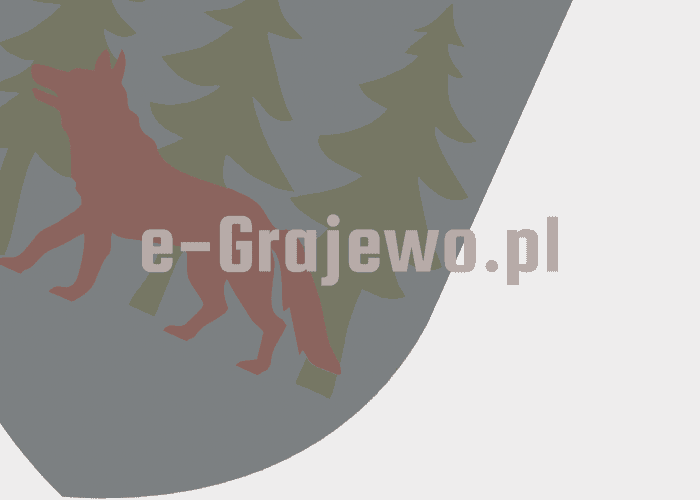 Grajewo ogłoszenia: Zgubiono klucze ,dwa duże i jeden mały na niebieskim...